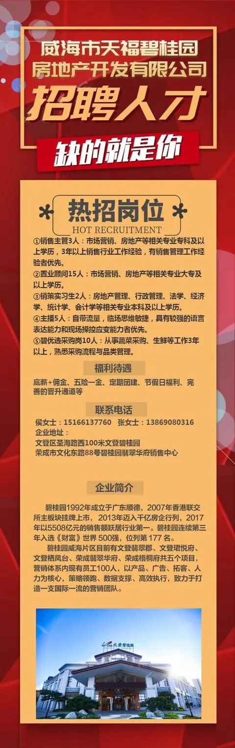 威海市最新招聘信息,威海市最新招聘信息概览