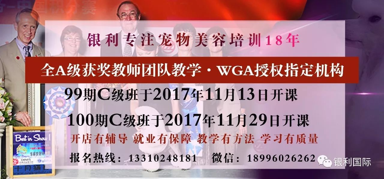 77778888管家婆必开一肖,探索77778888管家婆的生肖预测之道——必开一肖的神秘解读