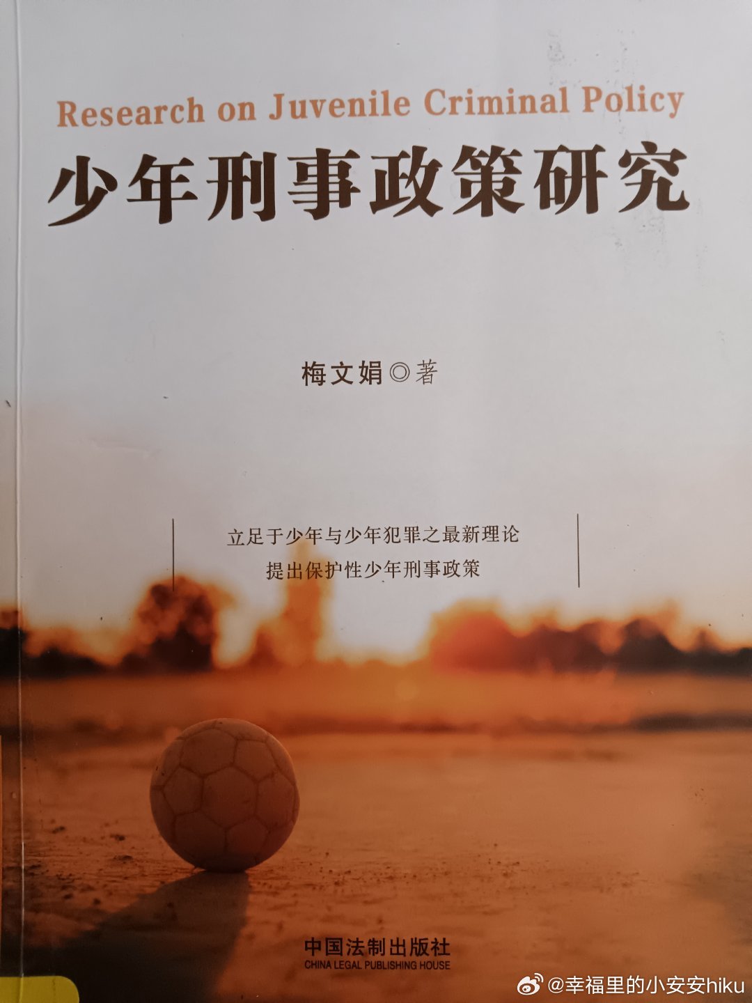 2024新奥门正版资料,关于新奥门正版资料的探讨与警示——警惕违法犯罪问题