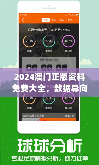 2024年新澳门王中王免费,探索新澳门王中王免费游戏世界——2024年的新机遇与挑战