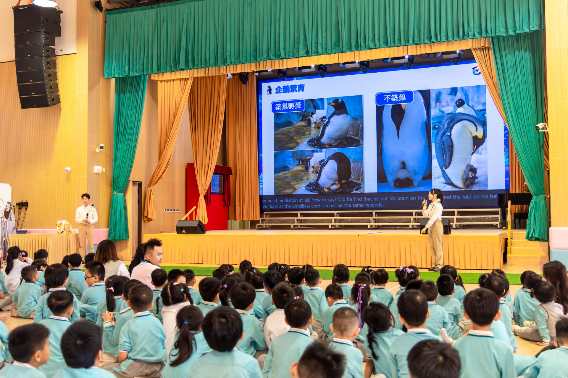 2024澳门今天晚上开什么生肖啊,澳门今晚生肖开什么——探寻生肖预测背后的文化魅力