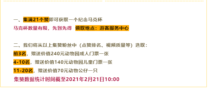 2004年澳门特马开奖号码查询,澳门特马开奖号码查询——回顾与分析2004年的开奖历史