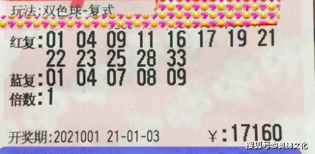 2004年澳门天天开好彩大全,澳门彩迷宝典，回顾2004年澳门天天开好彩的辉煌历程