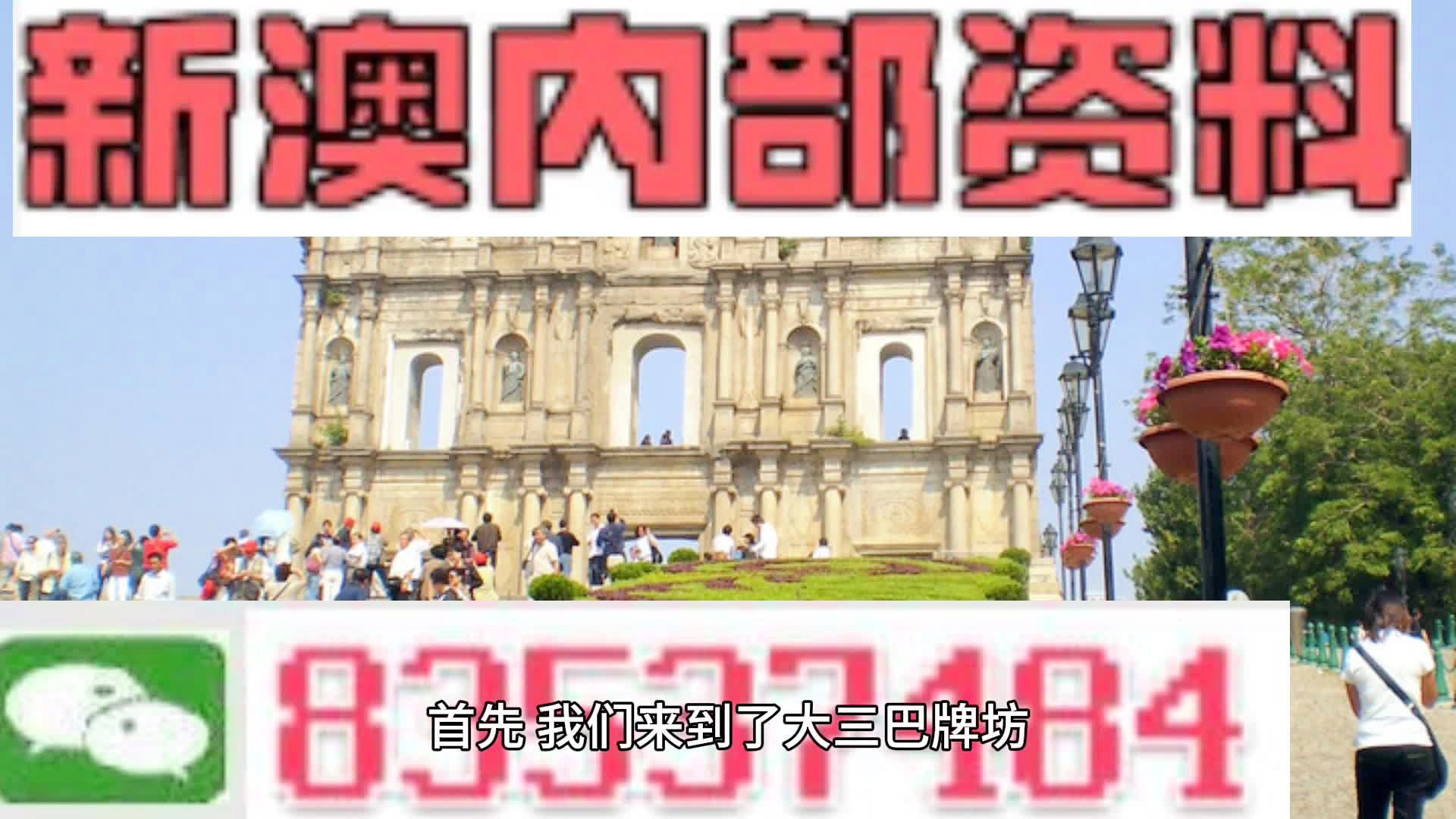 新澳2024年精准资料245期,新澳2024年精准资料245期深度解析