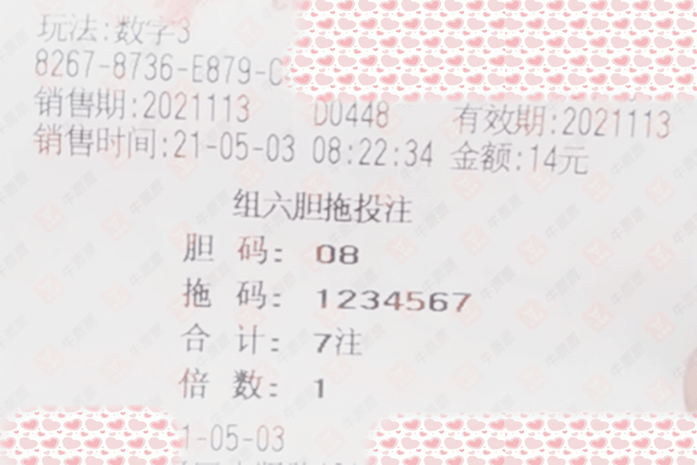 4949澳门今晚开奖结果,澳门彩票开奖结果揭晓，今晚4949开奖的惊喜与期待