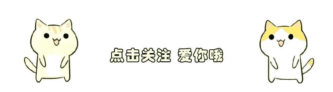 今晚9点30开什么生肖明 2024,今晚9点30开什么生肖明？揭晓2024年生肖运势的神秘面纱