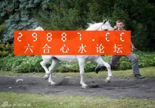 7777788888精准跑狗图,揭秘精准跑狗图，探索数字世界中的神秘宝藏——以77777与88888为中心