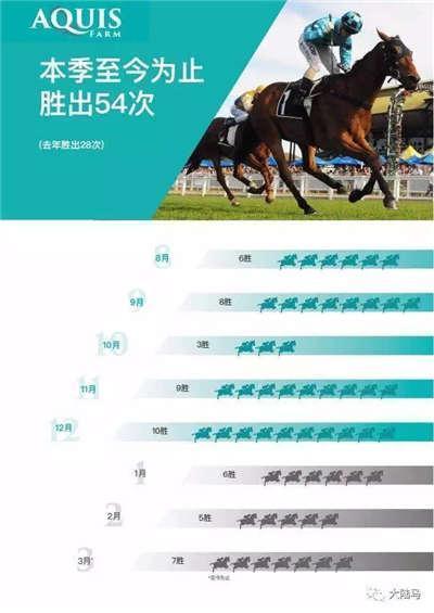 2025今晚香港开特马,探索香港赛马文化，2025今晚香港特马开启新篇章