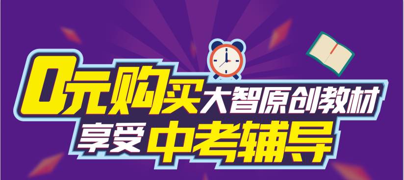 管家婆三期开一期精准是什么,揭秘管家婆三期开一期精准，真相与背后的秘密