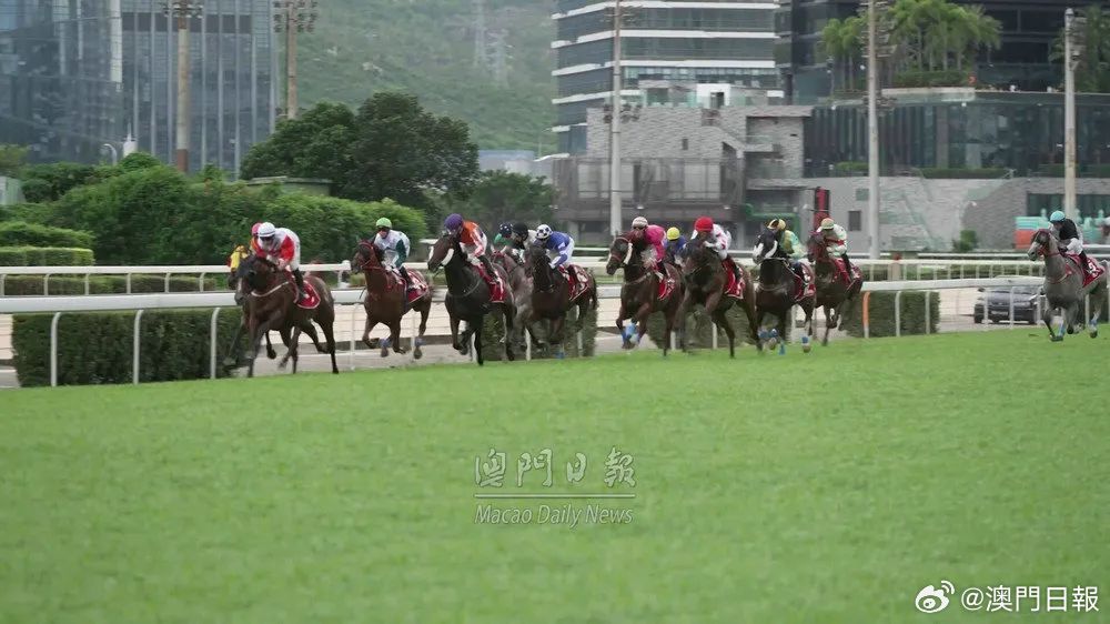 新澳门今晚开特马结果查询,新澳门今晚开特马结果查询——探索澳门赛马文化的魅力