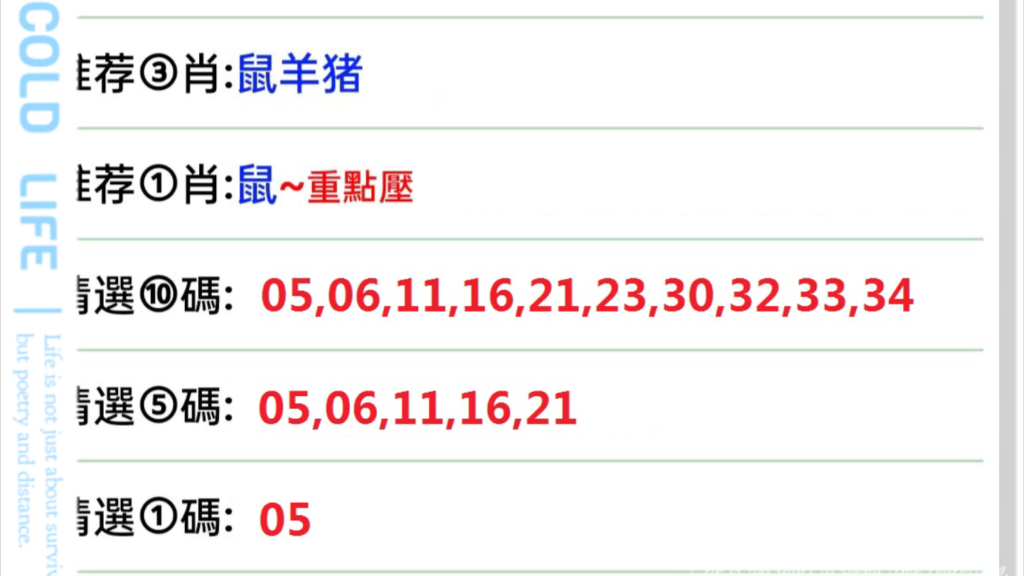 澳门今晚特马开什么号,澳门今晚特马号码预测与解读