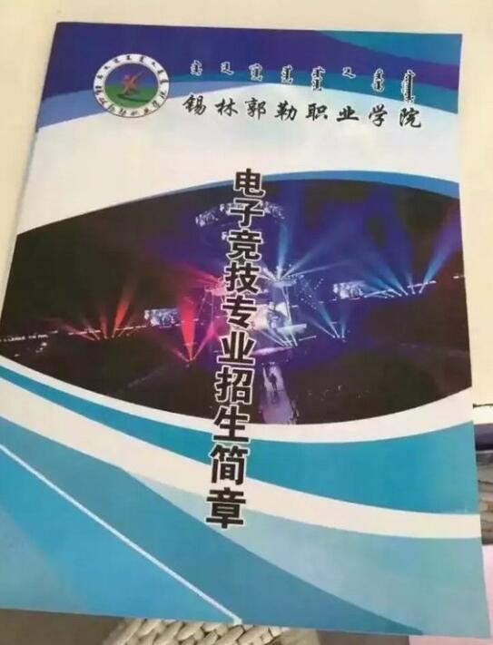 2025年澳门天天有好彩,澳门天天有好彩，展望未来的繁荣与活力（2025年展望）