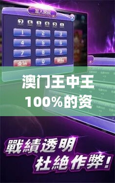 2024年新澳门王中王免费,探索新澳门王中王免费游戏世界——2024年的全新体验