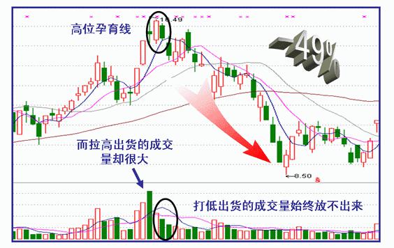 2025年3月3日 第12页