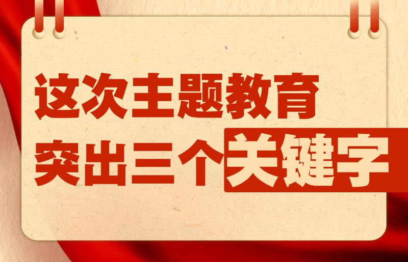 新澳门一肖一马一一中特,新澳门一肖一马一一中特，探索与解读