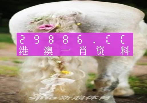 2023澳门正版全年免费资料,澳门正版全年免费资料，探索与解析（2023版）