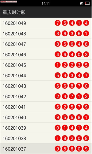 新澳门一肖中100,新澳门一肖中100，探索与揭秘