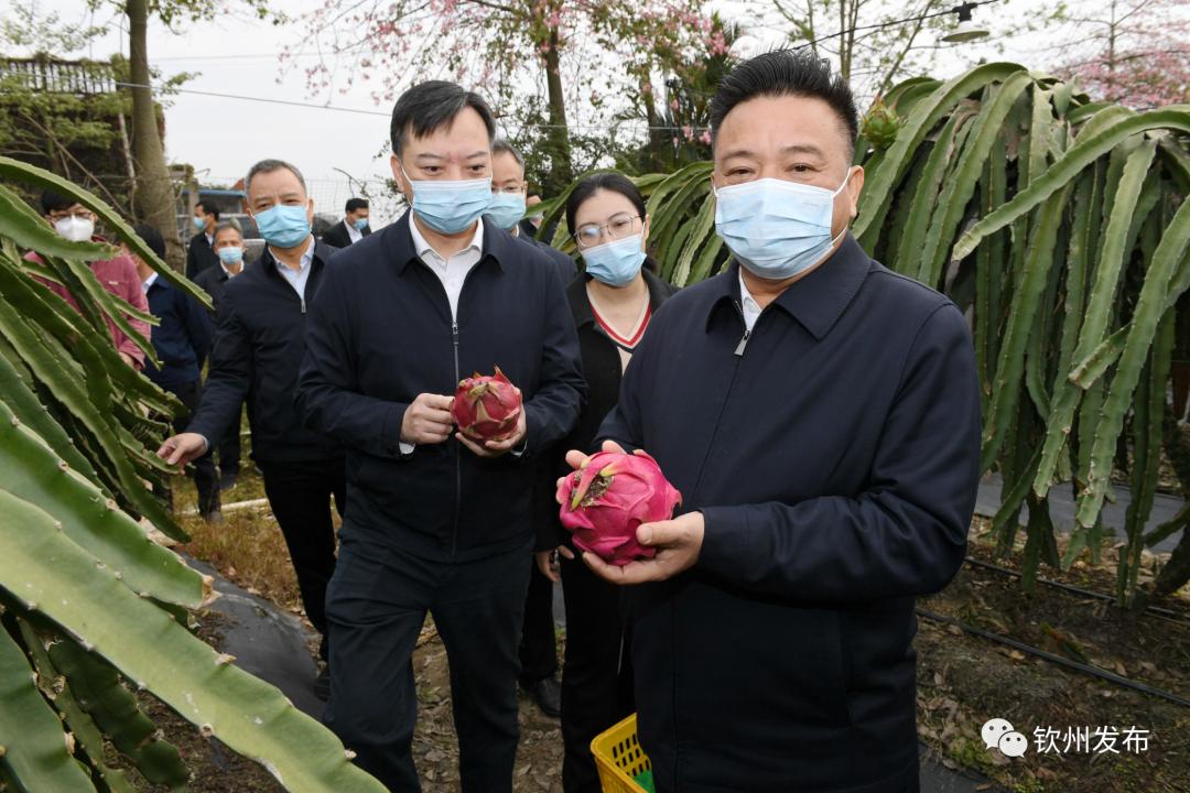 新澳精选资料免费提供,新澳精选资料免费提供，助力学习与研究的宝贵资源